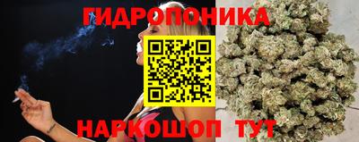 метамфетамин Кингисепп