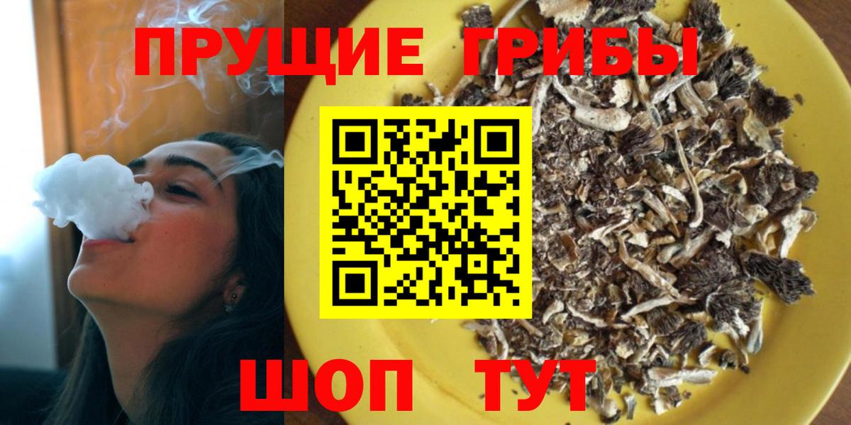 Крымск  Псилоцибиновые грибы MAGIC MUSHROOMS  Вход с VPN 